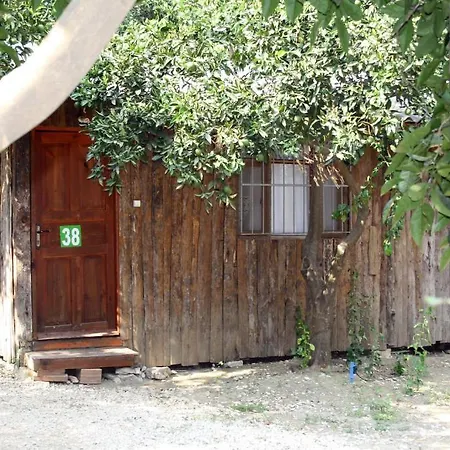 Olimpos Ağaç Evler Tatil parkı
