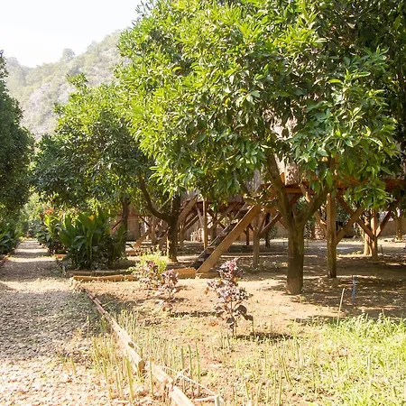 Olimpos Ağaç Evler Tatil parkı Kumluca