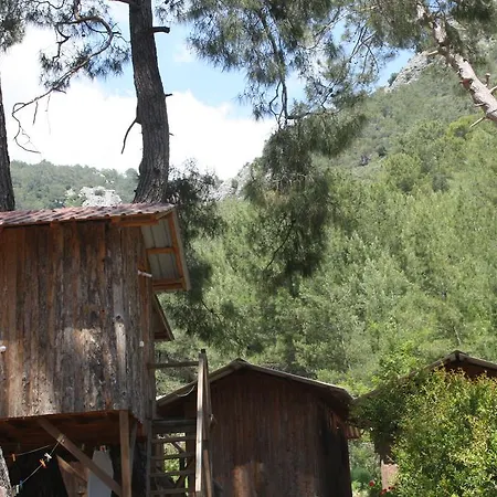 Tatil parkı Olimpos Ağaç Evler