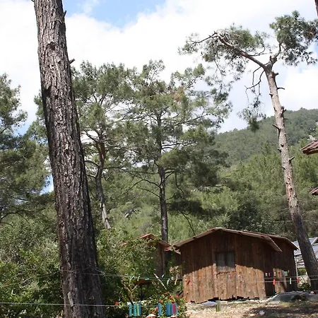 Tatil parkı Olimpos Ağaç Evler
