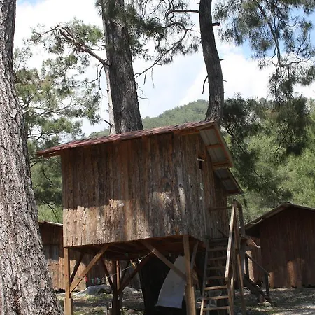 Tatil parkı Olimpos Ağaç Evler Kumluca