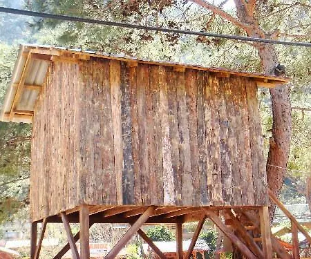 Olimpos Ağaç Evler Kumluca