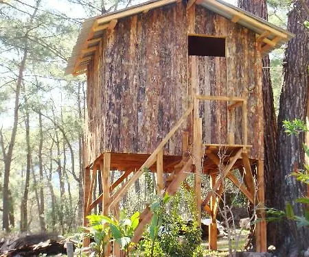 Tatil parkı Olimpos Ağaç Evler 3*