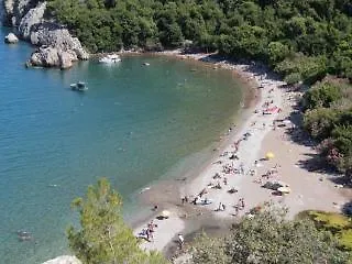 Olimpos Ağaç Evler
