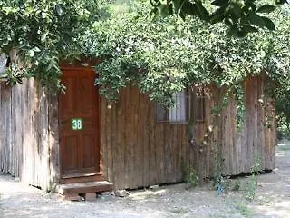 Olimpos Ağaç Evler Kumluca