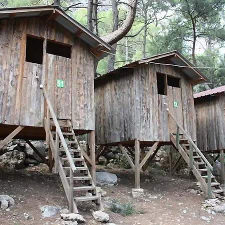 Olimpos Ağaç Evler Kumluca
