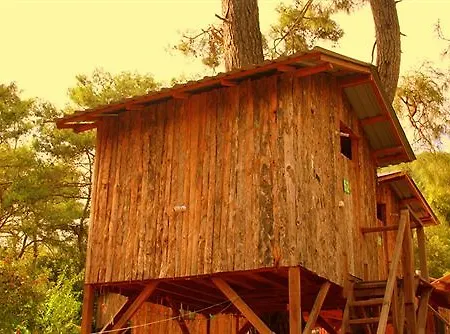 Olimpos Ağaç Evler Tatil parkı Kumluca