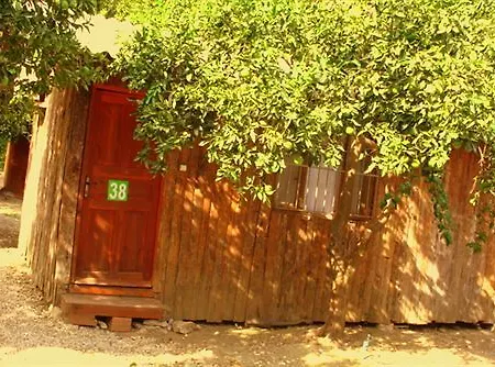 Olimpos Ağaç Evler 3*