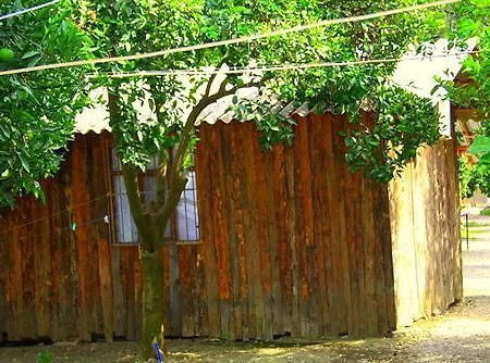 Olimpos Ağaç Evler Tatil parkı Kumluca