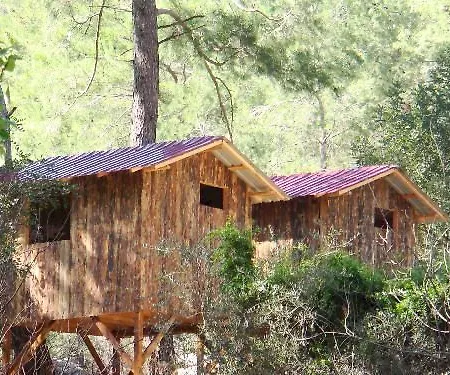Tatil parkı Olimpos Ağaç Evler Kumluca