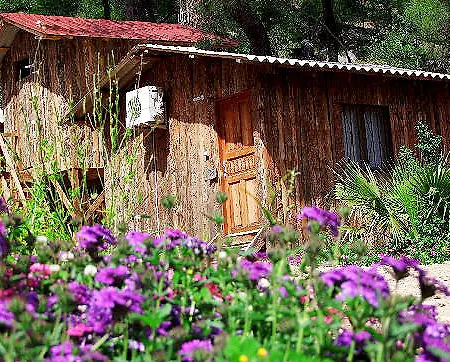 Olimpos Ağaç Evler Tatil parkı