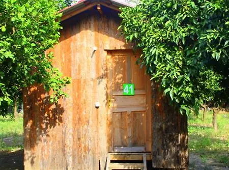Tatil parkı Olimpos Ağaç Evler