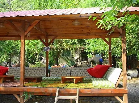 Tatil parkı Olimpos Ağaç Evler 3*